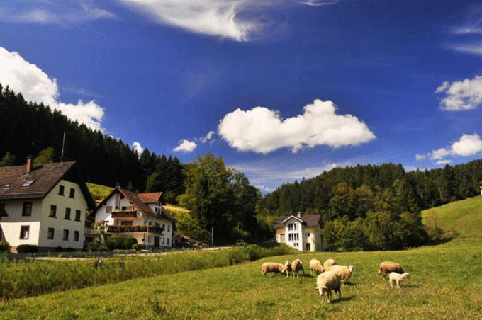 Hirschen-Dorfmuehle Hotel Biederbach Baden-Württemberg Exterior foto
